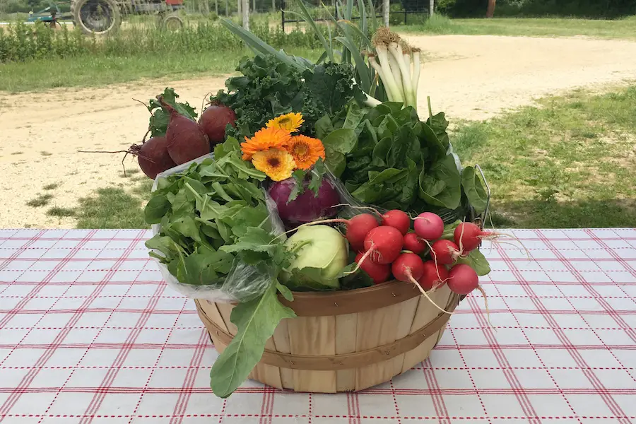 long island farm CSA