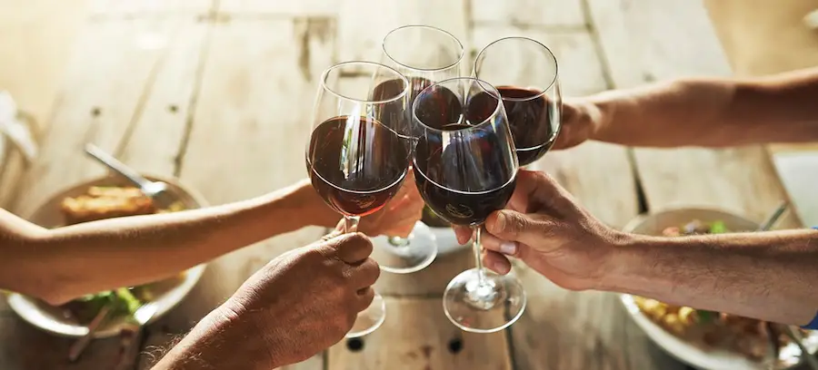 Long Island wine tours toasting