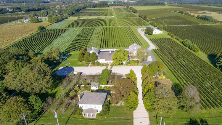 long island wineries