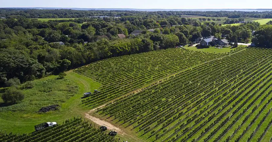 Long Island wine tours