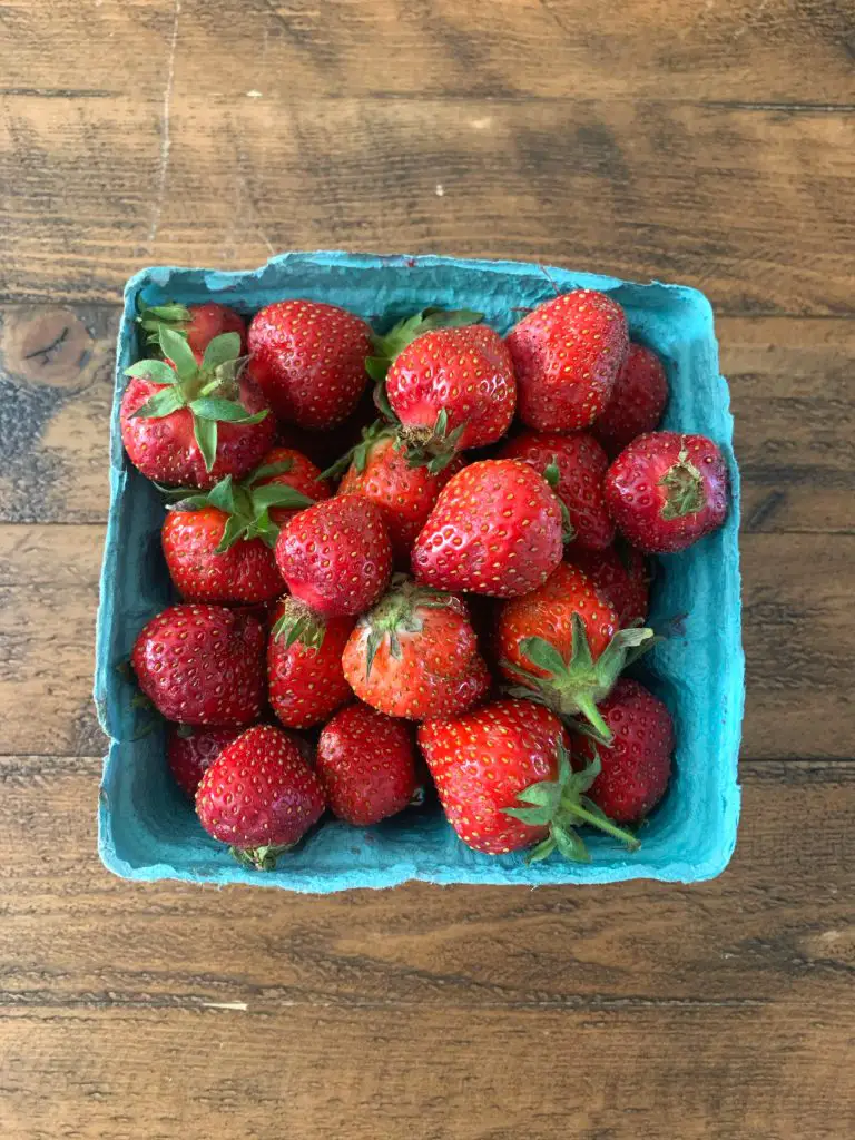 pick your own strawberries