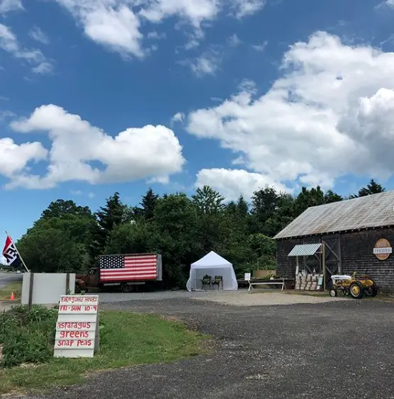 treiber farms Farmstand