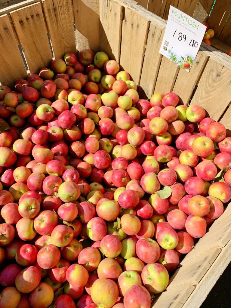 Jericho Cider Mill Jericho NY