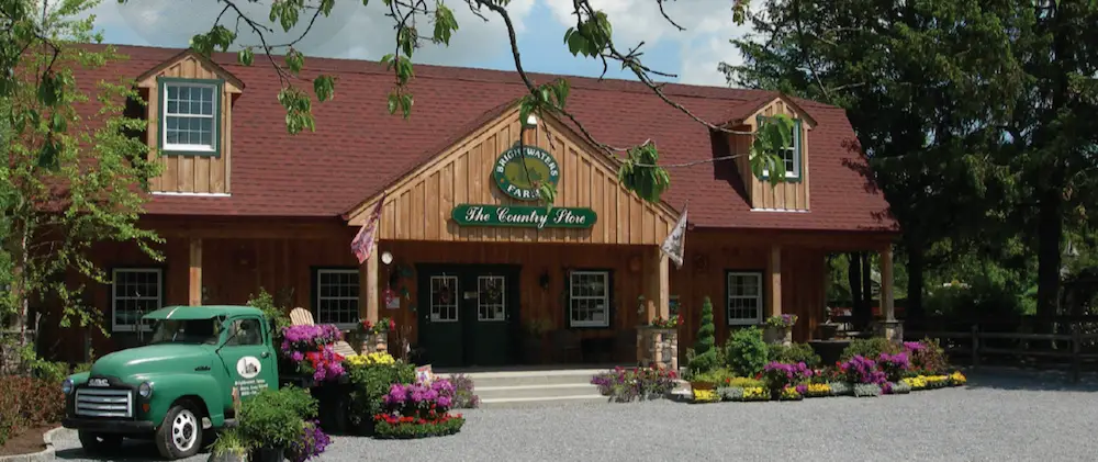 Long Island Christmas tree farm