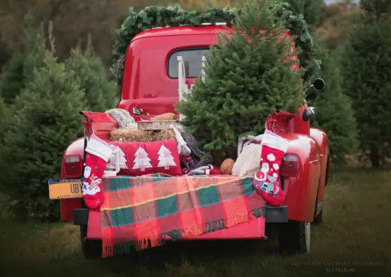 Long Island tree farm