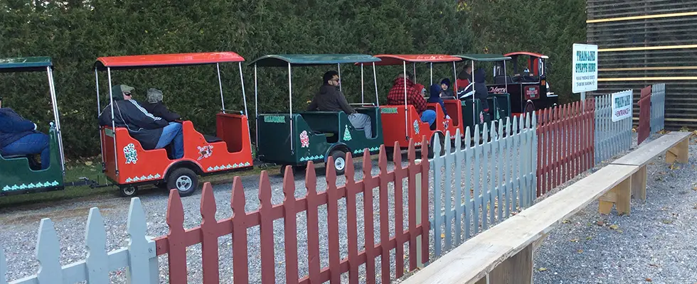 Christmas tree farm Long Island