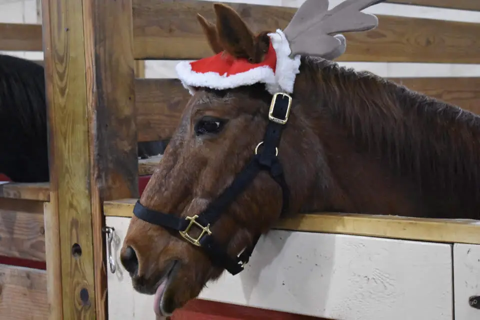 Long Island Christmas Lights & Events on the East End The Long Island