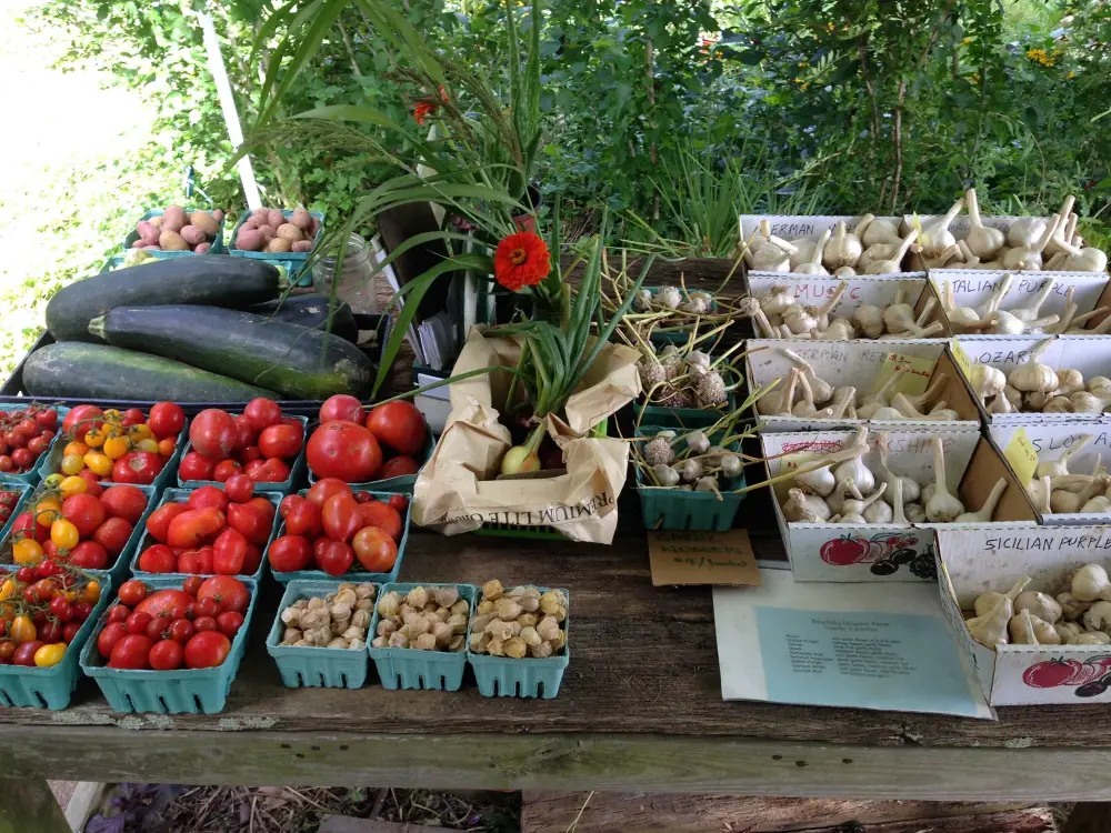 organic farms on long island