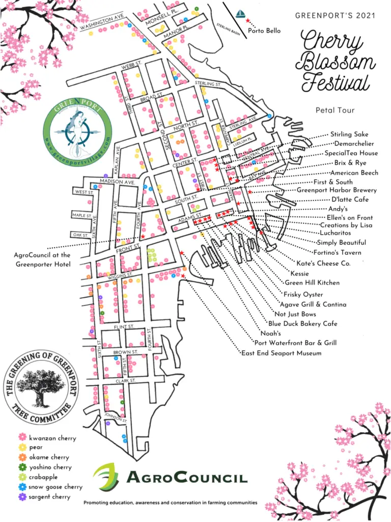 Greenport Cherry Blossom Festival