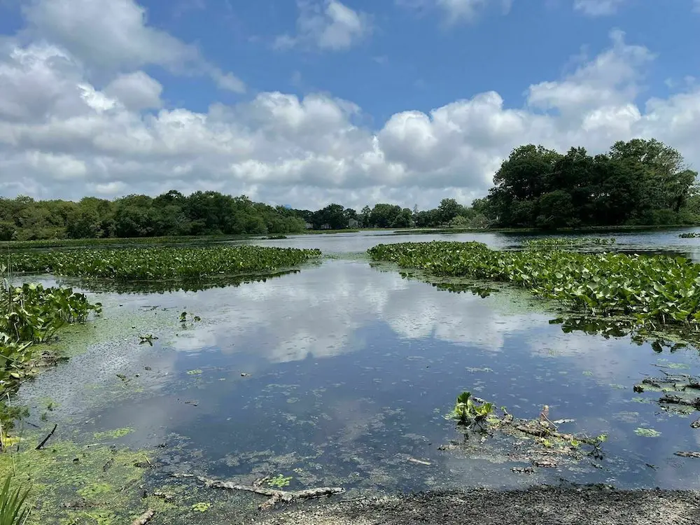 Long Island hiking