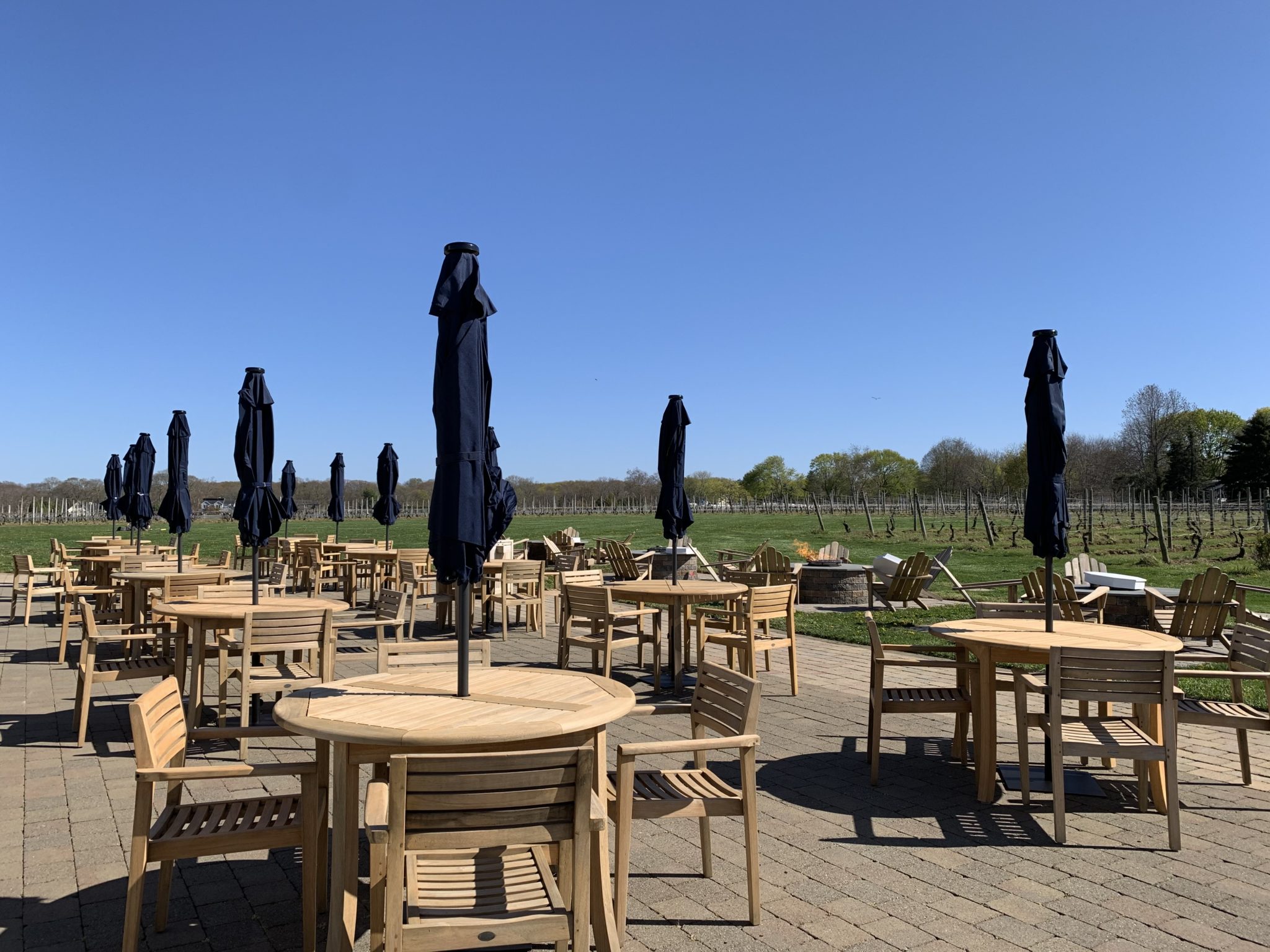 The New Peconic Bay Vineyards The Long Island Local